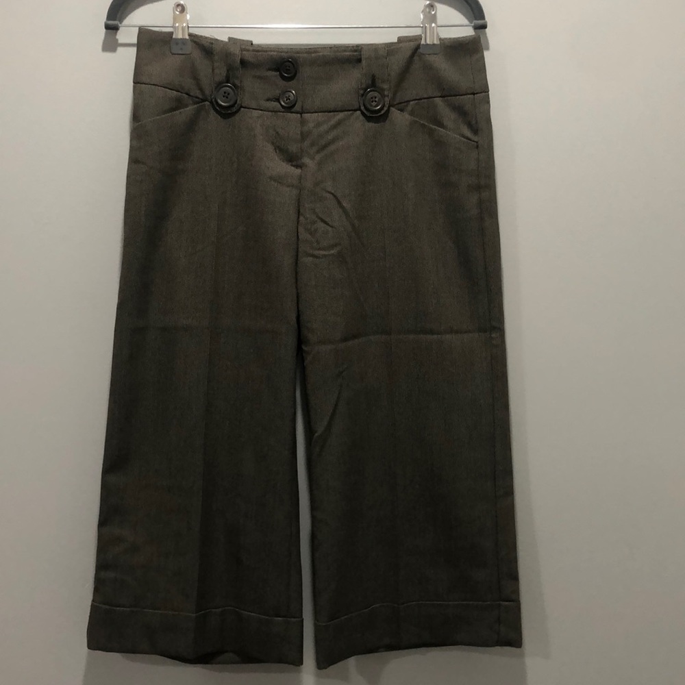 Express dressy capris in size 2